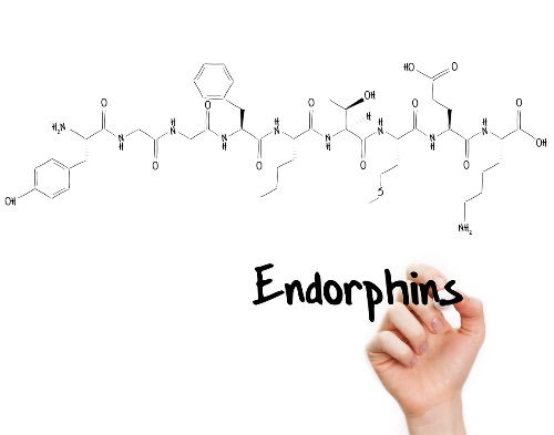 Formula drawing for endorphins